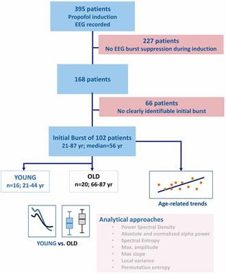 Age-Related EEG Features of Bursting Activity During Anesthetic-Induced Burst Suppression